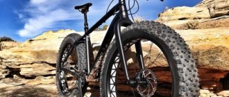 Fatbike - qué es, para qué la necesitas, cómo elegirla