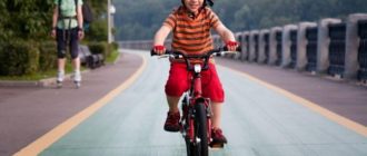 Cómo enseñar a tu hijo a montar en bicicleta: normas de seguridad y consejos