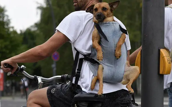 una mochila para transportar un perro en bicicleta