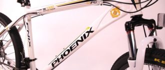 Bicicleta Phoenix: ventajas y desventajas, consejos de selección