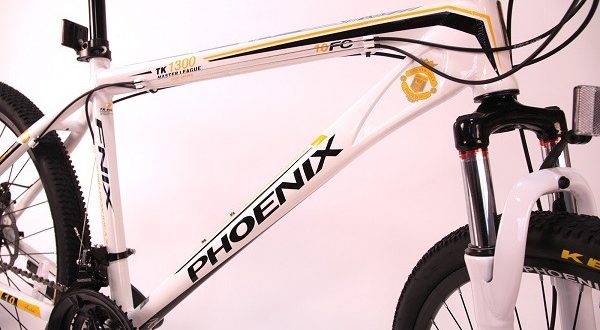 Bicicleta Phoenix: ventajas y desventajas, consejos de selección