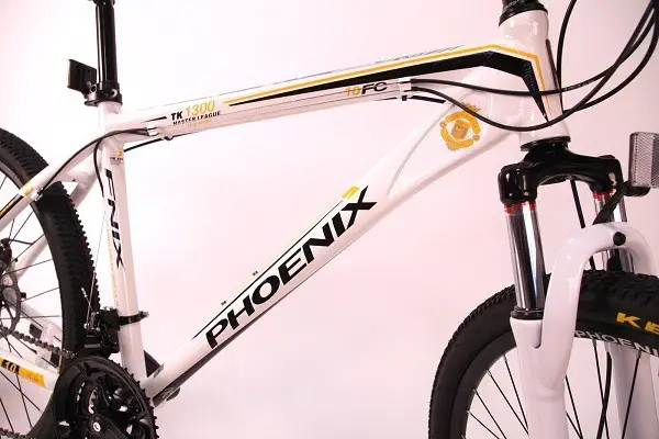 Bicicleta Phoenix