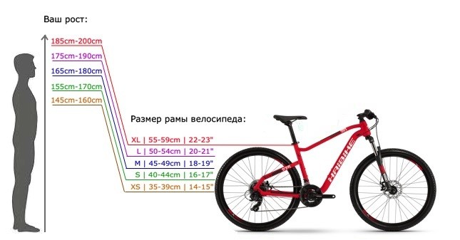 el tamaño del cuadro de la bicicleta por su altura