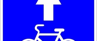 Señalización del carril bici: qué significa y quién puede circular por él
